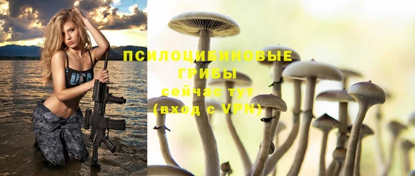 эйфоретик Володарск