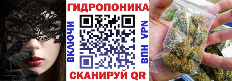 Марихуана сатива  мориарти наркотические препараты  Ефремов 
